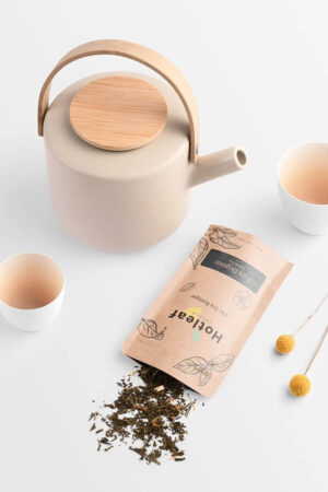 Corporate trifold Package